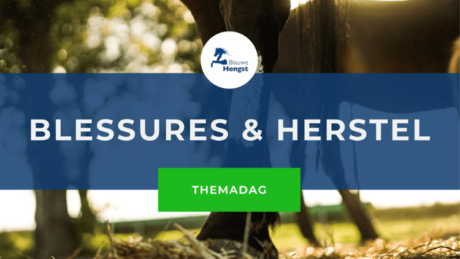 Afbeelding bij online cursus Blessures en Herstel voor paarden van de Blauwe Hengst Studiestal