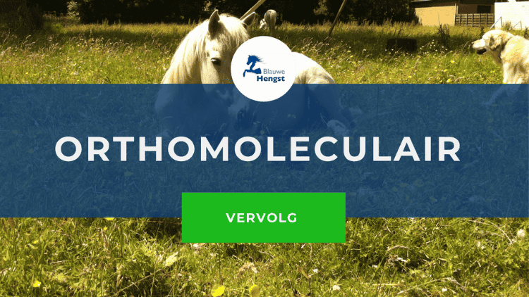 Afbeelding online cursus orthomoleculaire voeding voor paarden door de Blauwe Hengst Studiestal
