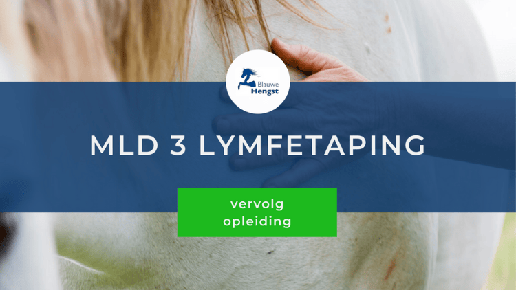 Afbeelding online cursus MLD 3 Lymfetaping
