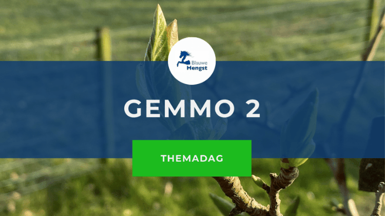 Cursusafbeelding bij online themadag Gemmo 2 door Blauwe Hengst