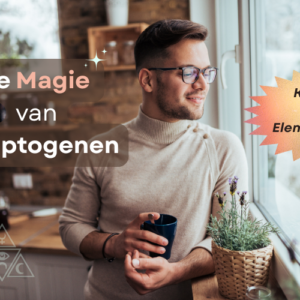 Symbolische afbeelding van adaptogene kruiden binnen holistische gezondheid