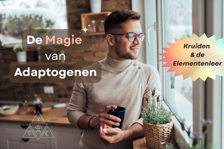 Symbolische afbeelding van adaptogene kruiden binnen holistische gezondheid