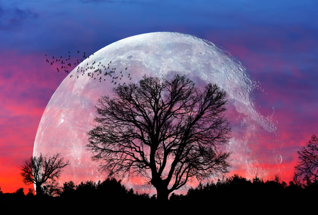 Symbolische afbeelding van moderne medische astrologie: een nieuwe visie op gezondheid