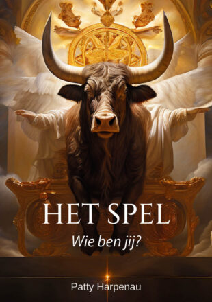 Het spel