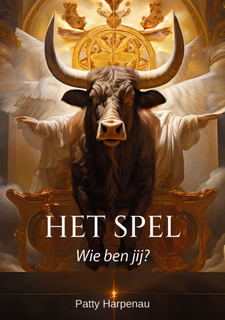 Het spel