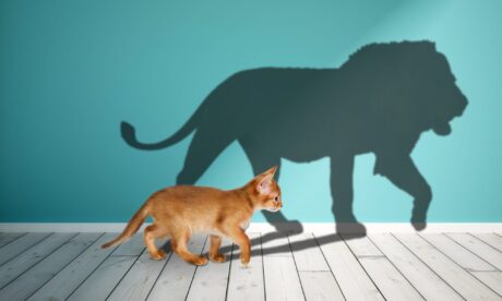 geïnspireerd blijven ondernemen