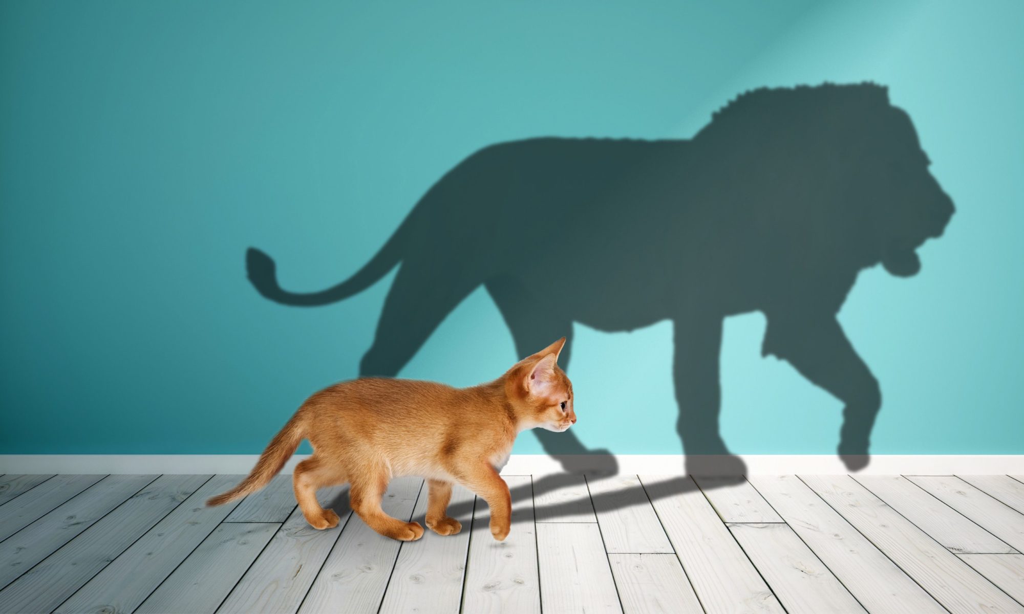 geïnspireerd blijven ondernemen