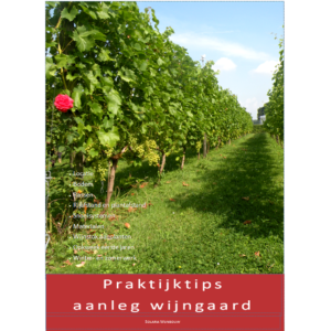 Praktijktips aanleg wijngaard