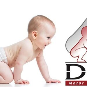 Dynamic Neuromuscular Stabilization Pediatric course Part 2