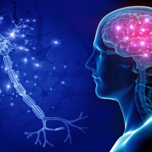 Neurology Examination | Dr. Nikita Vizniak DC (on demand)