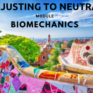 Adjusting to Neutral - Biomechanics (Barcelona)