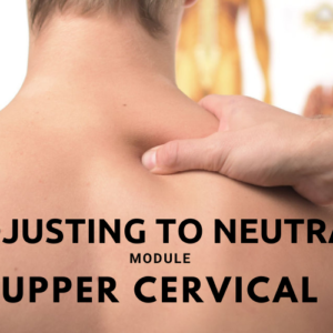 Adjusting to Neutral - Upper Cervical | By Dr Russ Hornstein