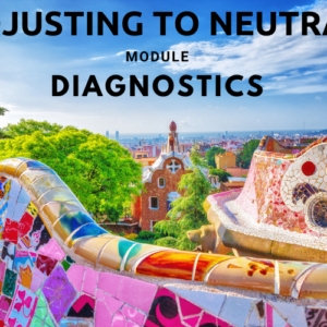 Adjusting to Neutral - Diagnostics (Barcelona)