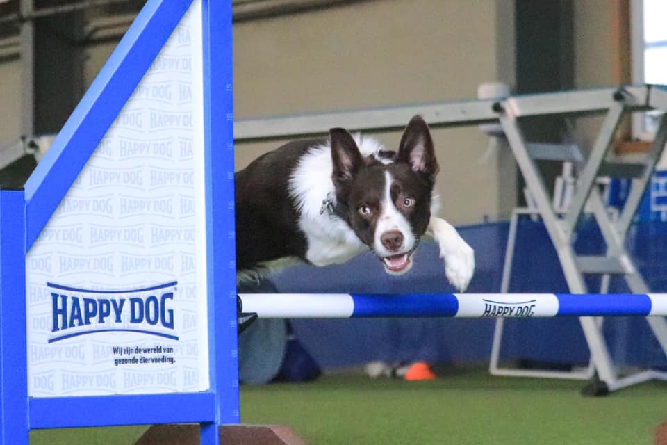 105411279_3386579104694489_485380431124055444_n