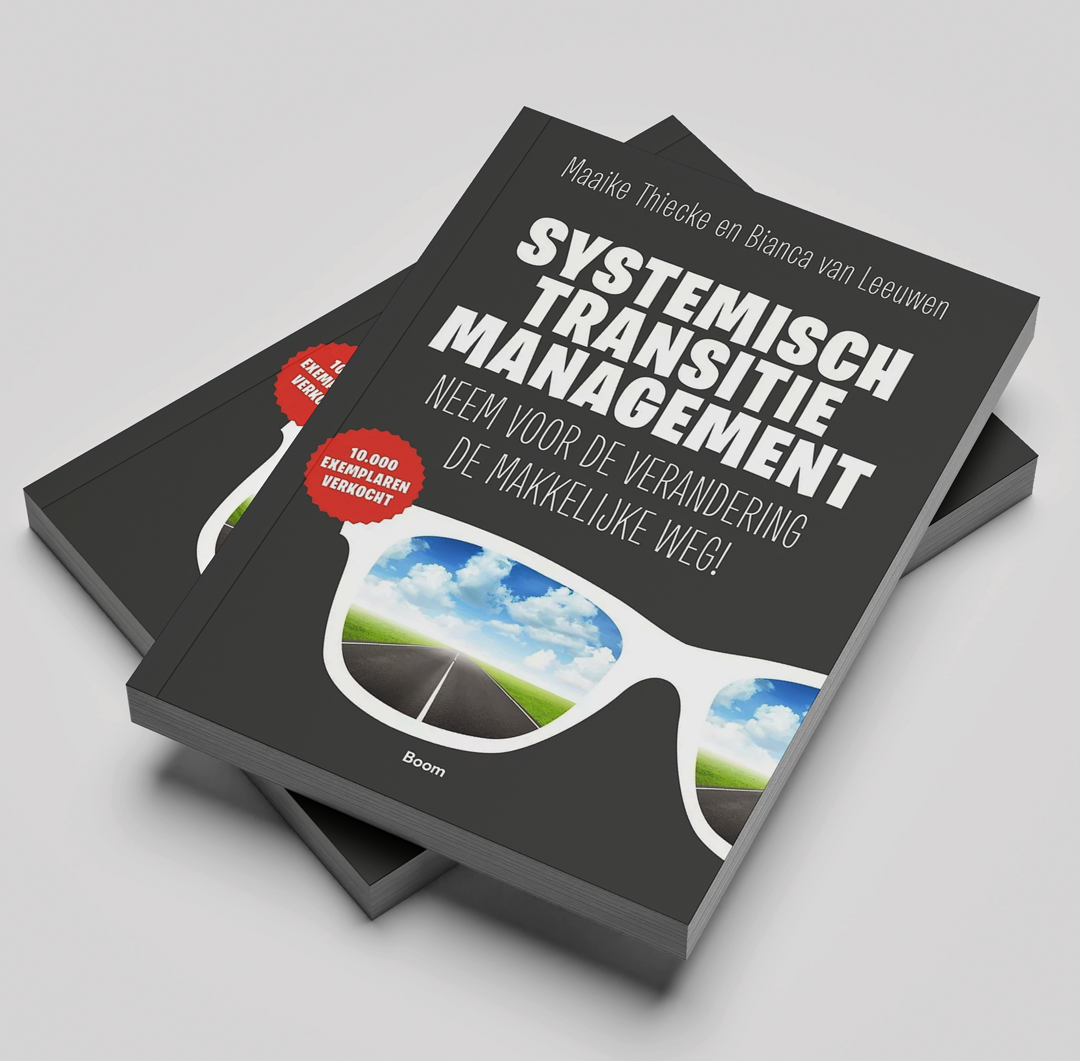 Systemisch transitiemanagement