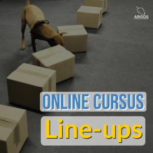 Cursus: Line-ups
