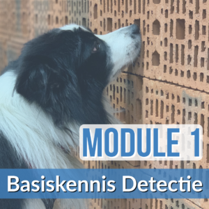 Module 1: Basiskennis Detectie (start 13 maart)